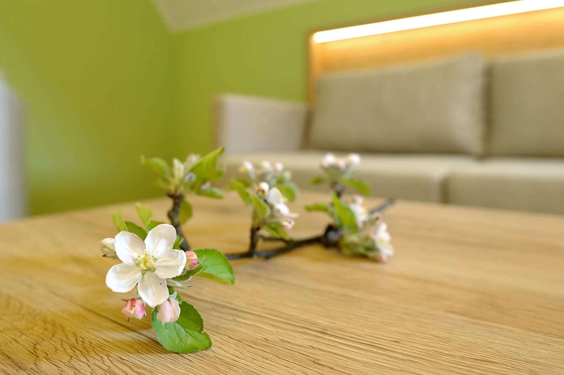 Detail im Appartement